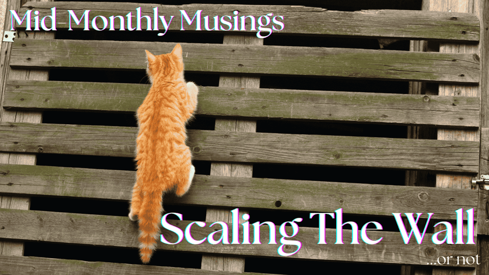 Mid-Monthly Musings at top left. Scaling The Wall...or not at lower right.
Between: an orange cat is mid-climb up the wooden slats of a gate, peering through the slats into the darkness beyond. The wood of the slats looks weathered, turning that distinctive grey of wood aged by the elements. A square metal hinge is visible at top left. Part of a simple metal latch is visible at mid-right.