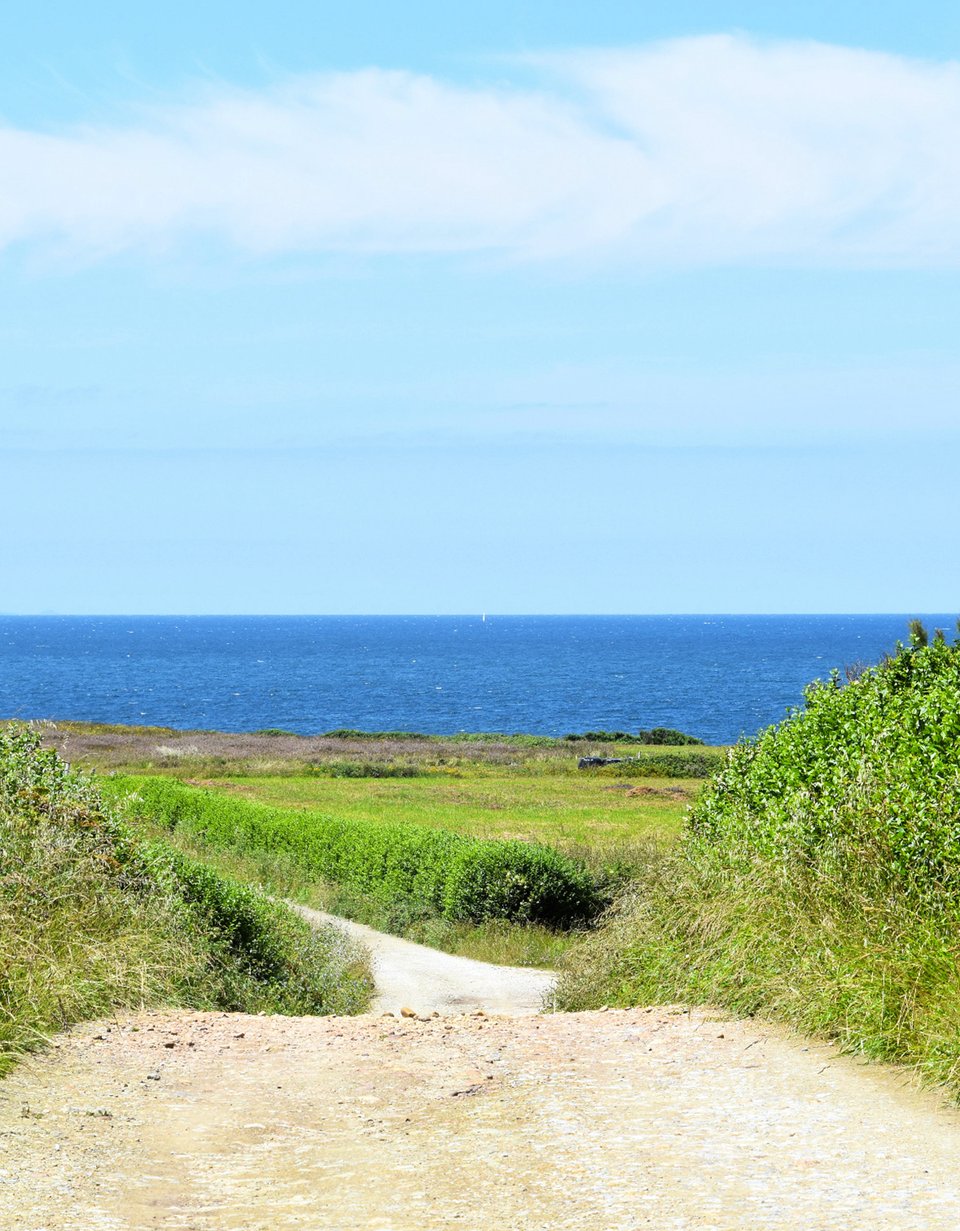 A dirt road beside a grassy field next to the ocean.