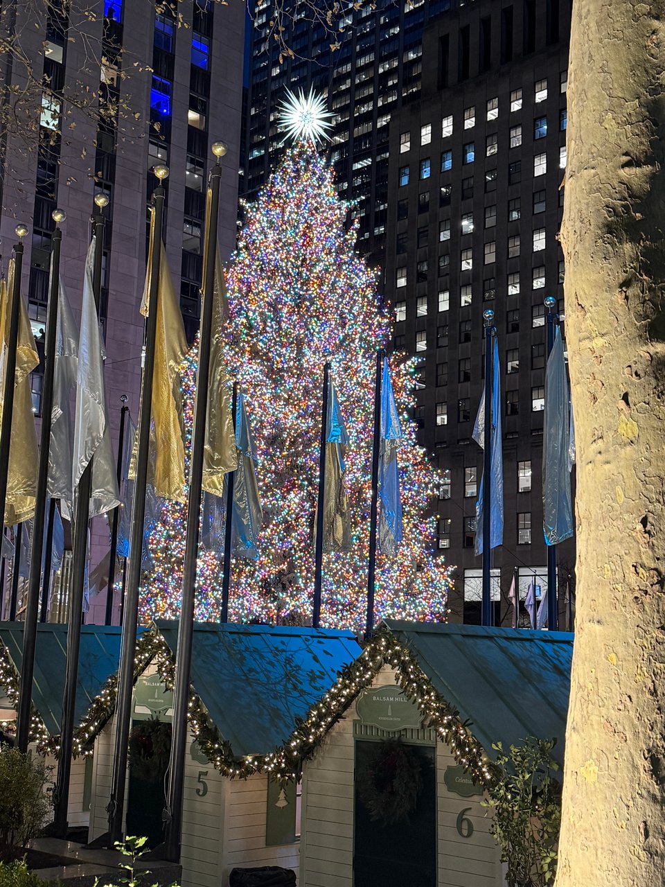 Rockefeller Center Christmas tree lit up at night, New York City