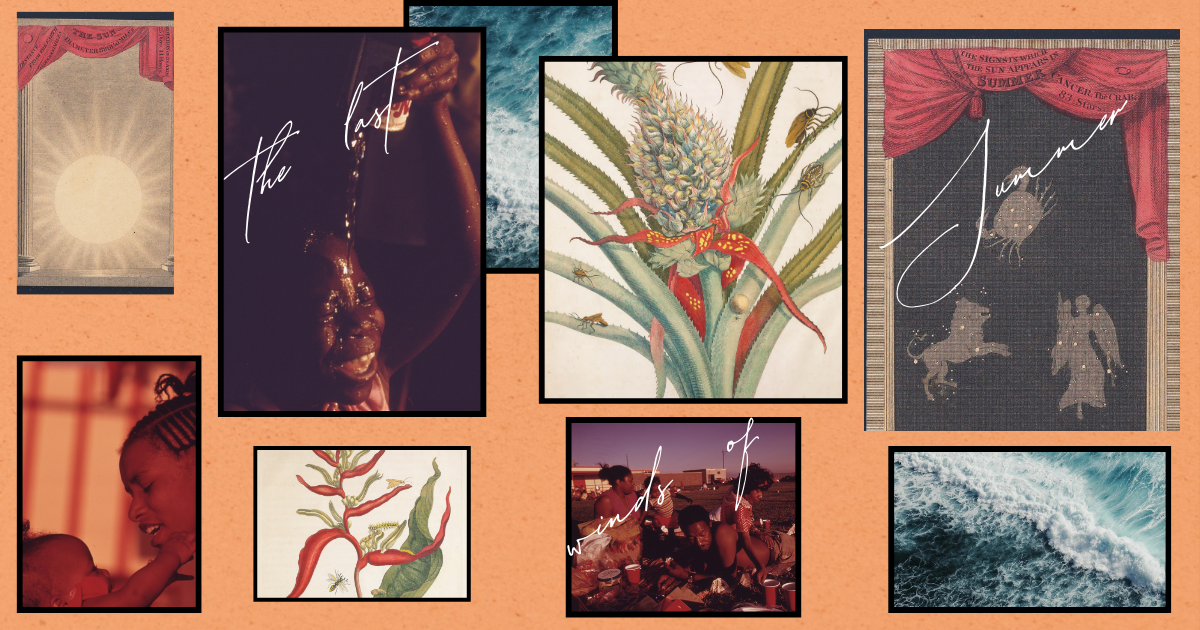 🌬️ the last winds of summer