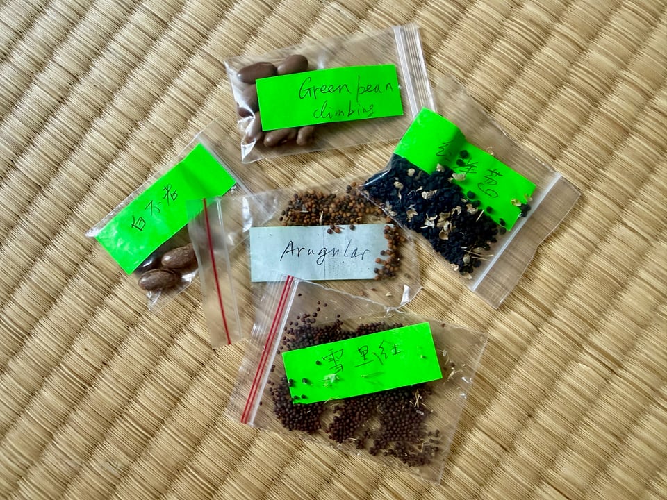 On a tatami mat are five small clear plastic zippered bags with seeds inside. The names of the seeds are written in black pen on lime green and white labels. Two packets with brown beans are labeled 白不老 and Green bean climbing. The packets with tiny black seeds are labeled 红洋葱 and 雪里红. A packet of brown seeds is labeled Arugular.