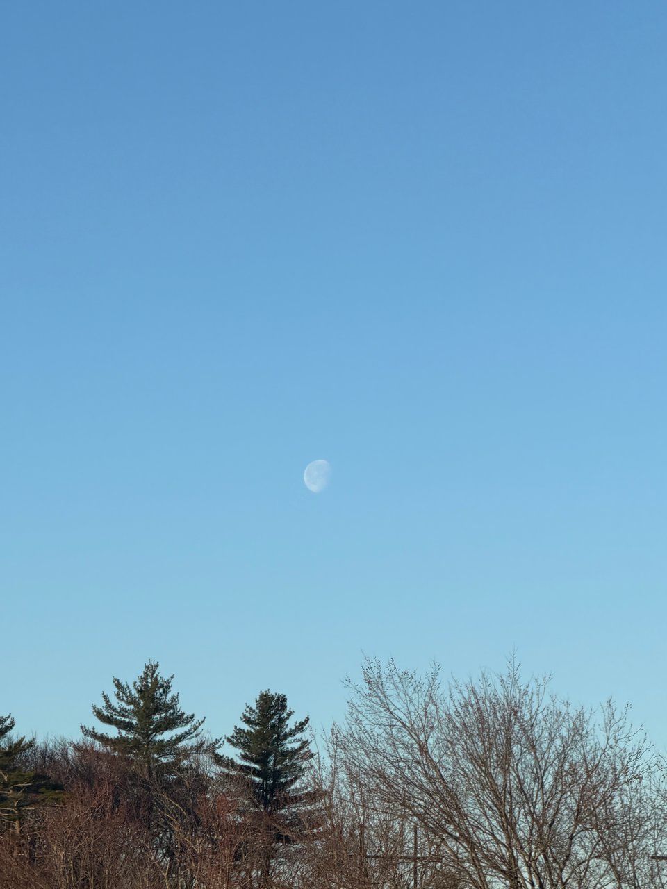 the moon in a blue sky over trees