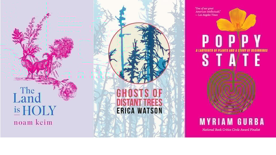 2025 Book Superlatives