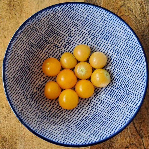 Ten golden fruits sit in a patterned blue bowl.
