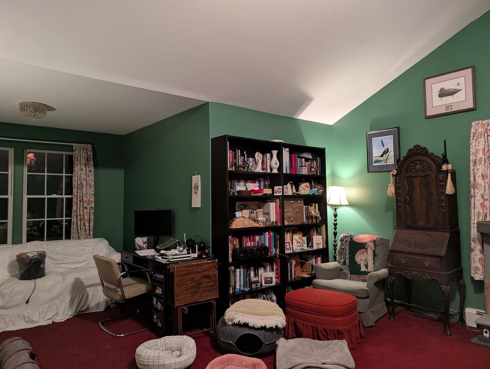 The corner of a bedroom, showing a couch, desk, bookshelf, armchair, and hutch. The wall is green.