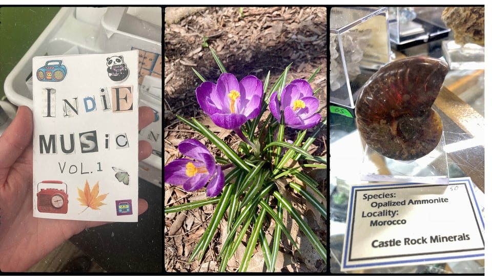 photo grid with three pictures. L-R: a hand holding a mini-zine entitled "Indie Music Vol. 1"; purple and yellow crocuses in the ground; an opalized ammonite fossil on display.