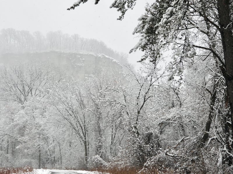 A snowfall is prettiest just as it ends. Here, snow coated tree branches in the park, soon to drop in the wind. / Photo by Steve Dietz