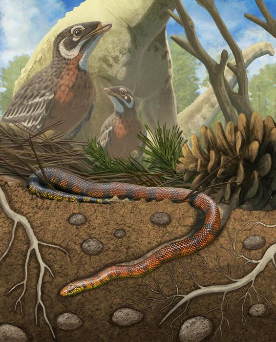 Stunning Serpent Reveals Secret of Snake Successs