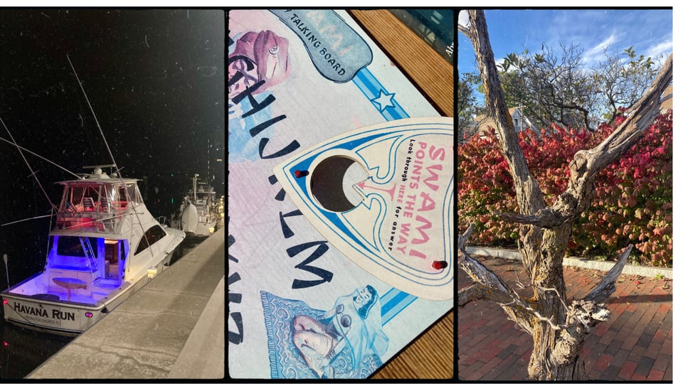 photo grid with 3 pictures. L-R: a docked boat named Havana Run at night; a Ouija board and planchette; a twisted tree trunk in front of a bush with red leaves.