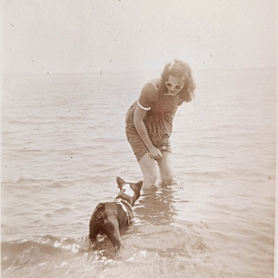 A photos from the early 40's where a woman where sunglasses and a striped dress. She's in the water up to her knees and holding the skirt of her dress to keep it from getting wet. A black and white bulldog named Tippy plays in the water with her.