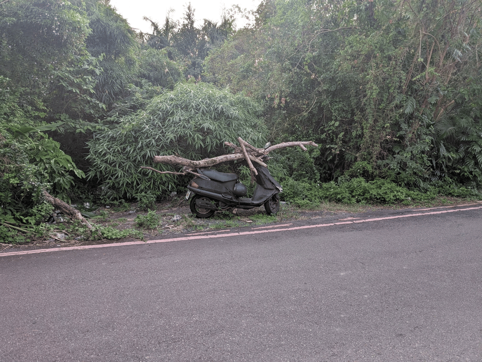 A scooter by the side of the road next to foliage. Several large limbs have been stacked haphazardly on top of it.