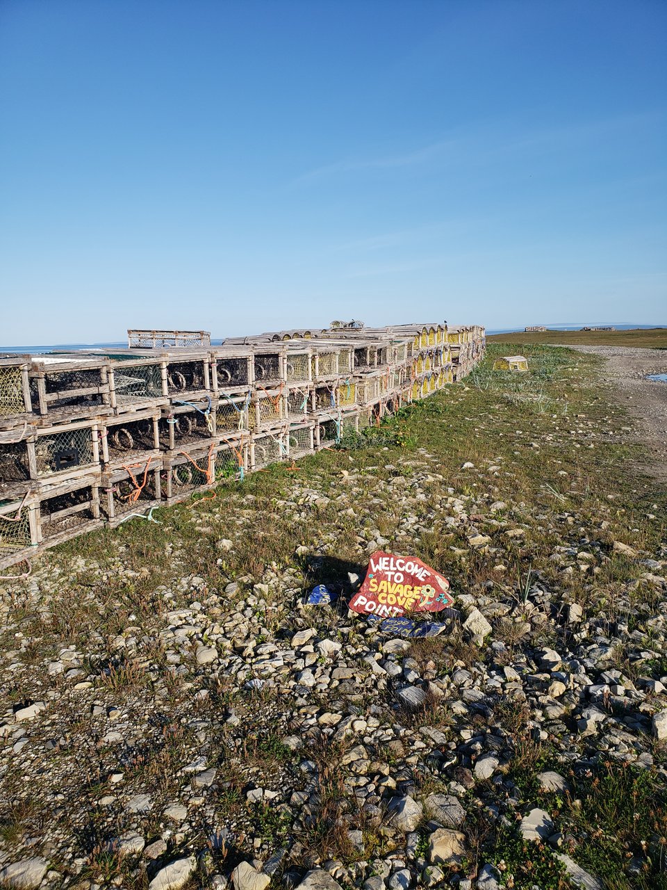 lobster traps in savage cove, nfld, where i wrote my dad’s obituary