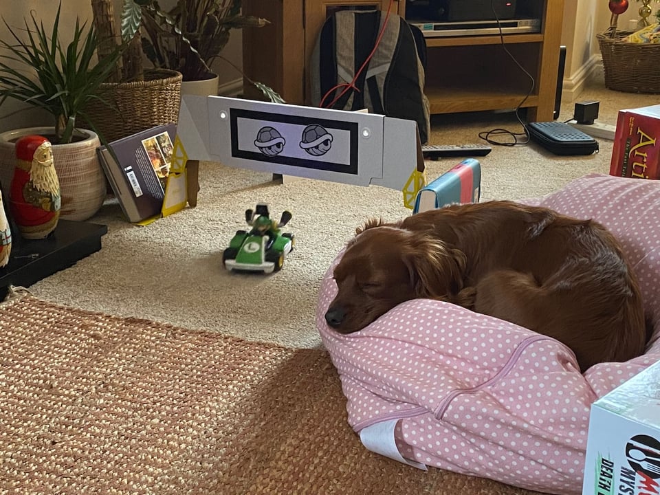 Radio sleeping on a beanbag as Luigi drives by in a kart.