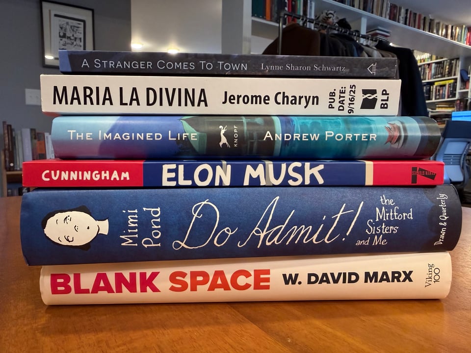 photo of a stack of books by (from the top) Lynne Sharon Schwartz, Jerome Charyn, Andrew Porter, Darryl Cunningham, Mimi Pond, and W. David Marx