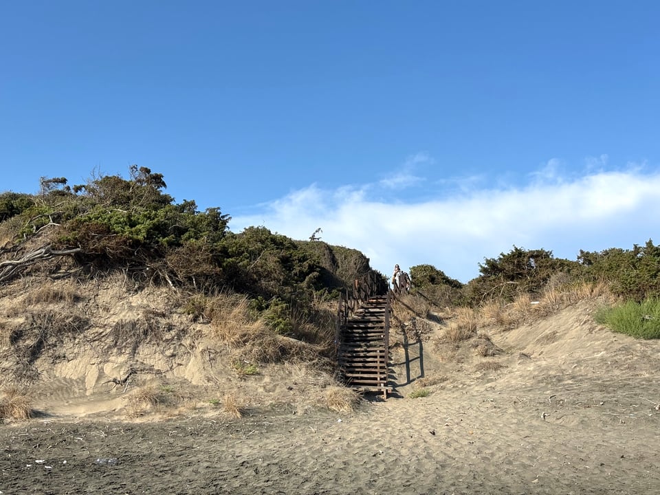 A dune on the beach of Latina