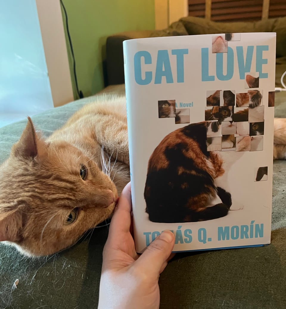 A white person's hand holds a hardback version of Cat Love by Tomas Q. Morin. An orange tabby cat is lying down next to the person's hand.