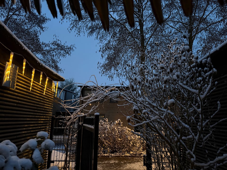 A garden entrance is covered in snow in the early morning, it is still dawn outside, so everything is grey.