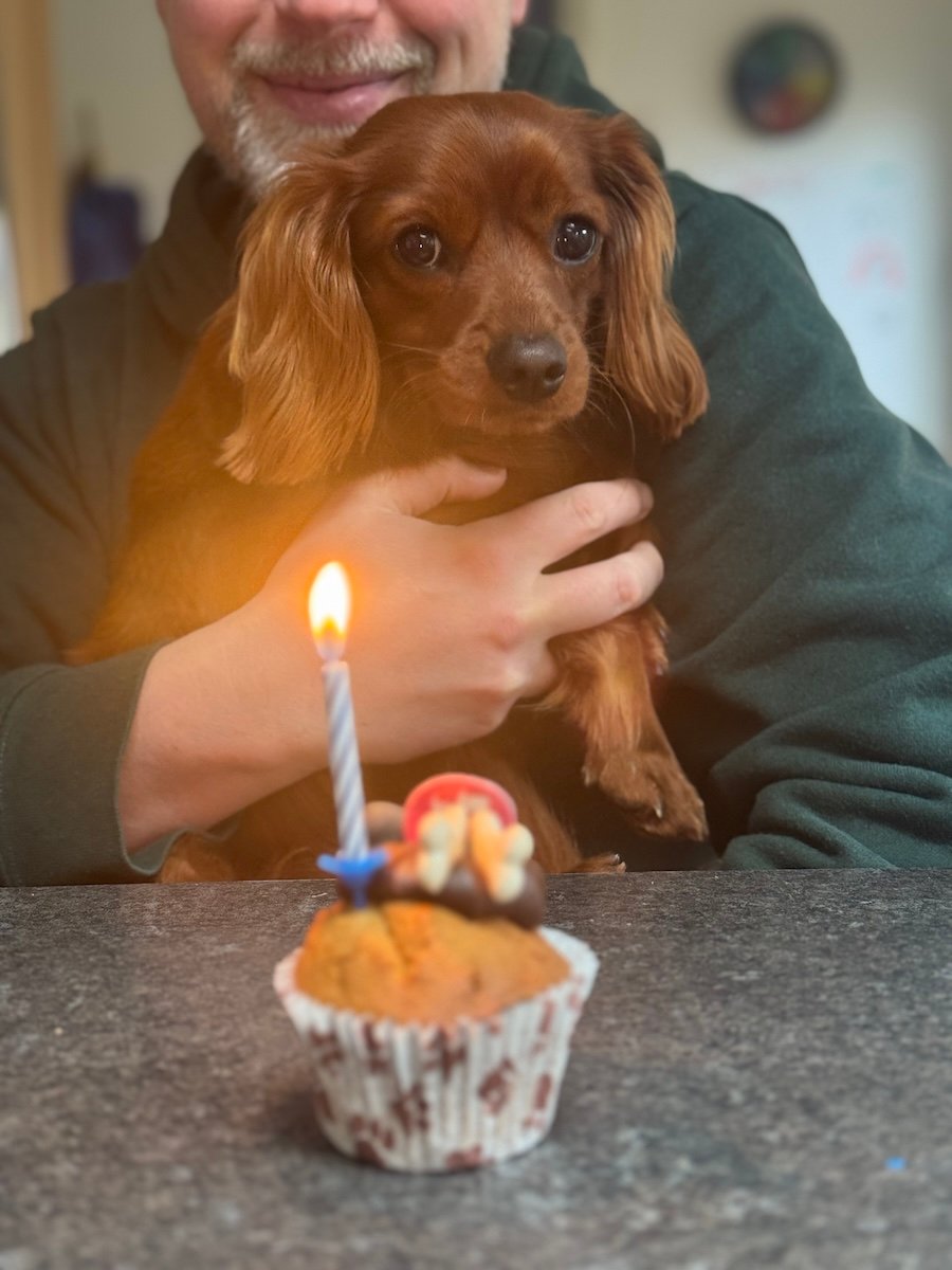 Cute pup with a cake.