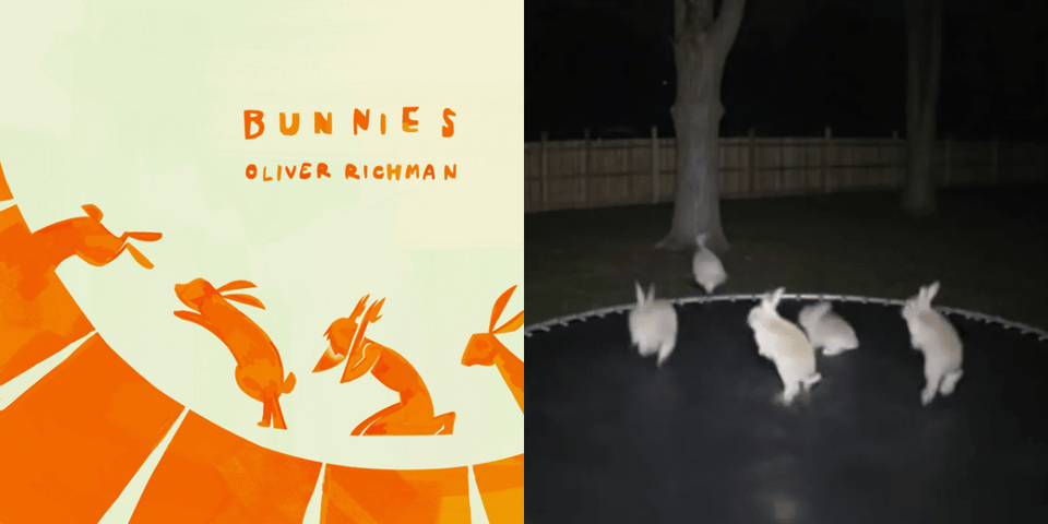 Bunnies jumping on a trampoline.