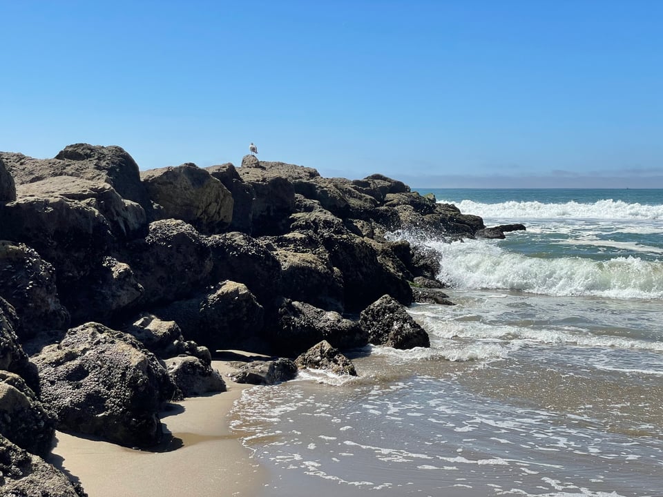 A side view of a breaker with a bird standing calmly on top of the rocks. Waves splash along the side of the rocks
