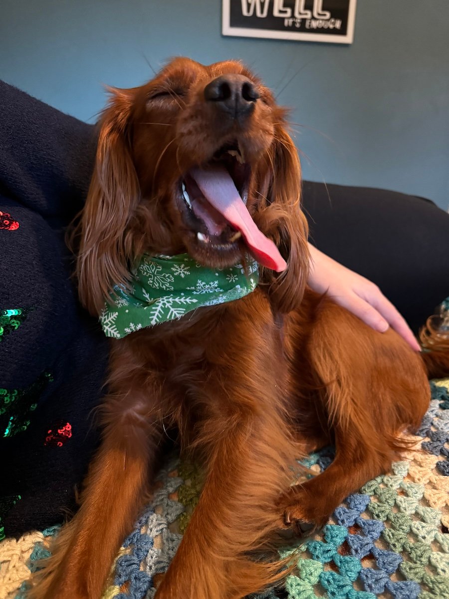 Radio yawning.