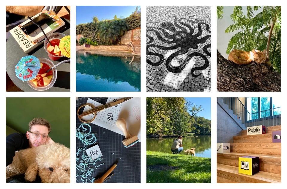 Collage vom Spetember: Pool, Katze im Baum, Ich und der Hund Gisi, Gisi am Seel