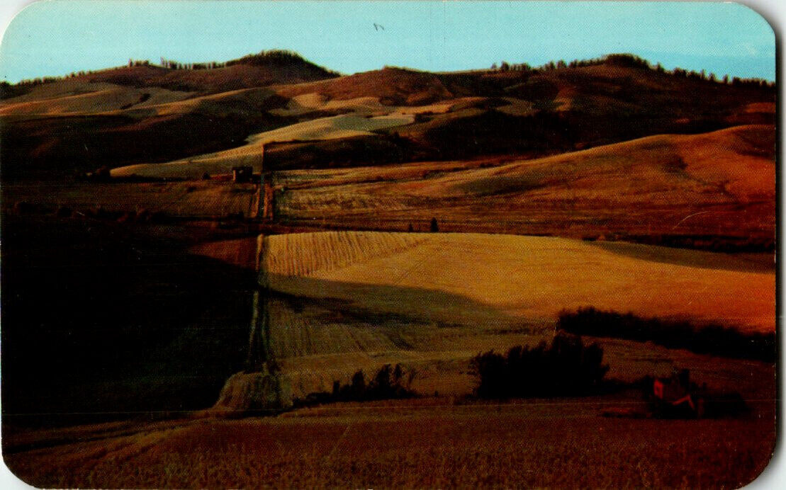 📯 More Parades for the People ✨