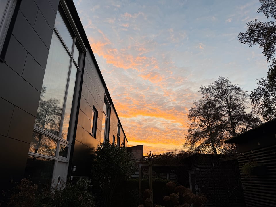 Sunrise through the neighborhood.