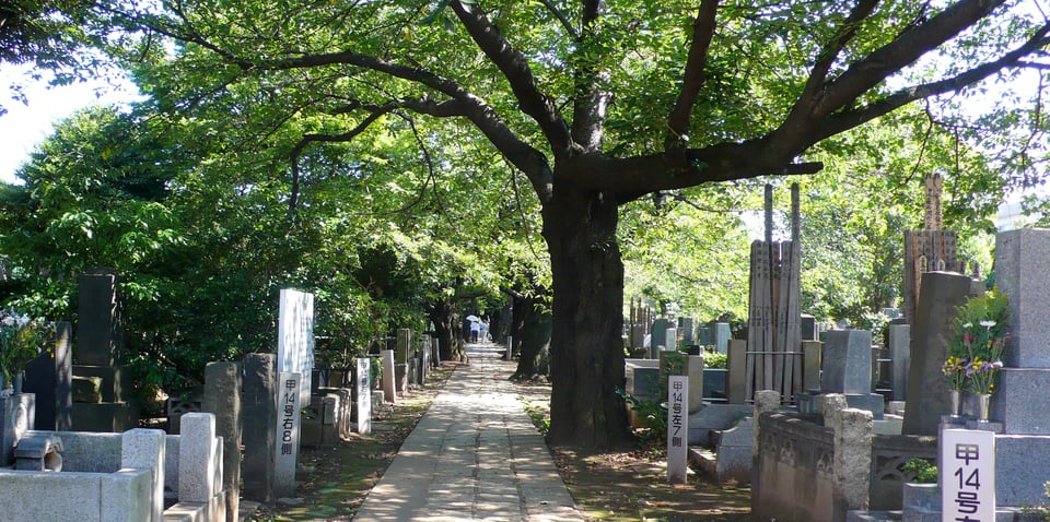 The cematary in Yanesen.