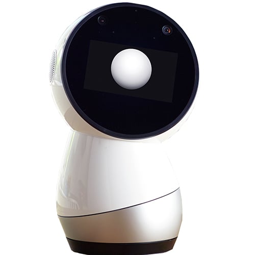 jibo robot
